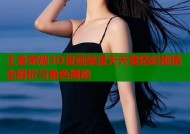 王者荣耀3D漫画禁漫天天堂精彩剧情全解析与角色揭秘