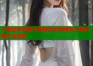 王者伽罗禁漫天堂精彩故事揭秘与角色魅力全解析