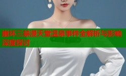 崩坏三禁漫天堂温泉事件全解析与影响深度探讨