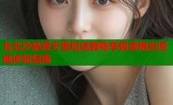 北北沙禁漫天堂加速器畅享极速稳定漫画体验指南