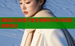 国际航空禁漫天堂全景解析与未来发展趋势探讨