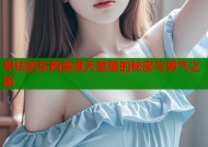卑怯的东西禁漫天堂里的秘密与勇气之旅