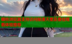 哪些浏览器支持访问禁漫天堂及最佳观看体验推荐
