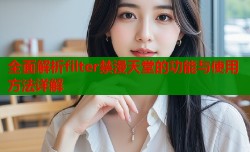 全面解析filter禁漫天堂的功能与使用方法详解