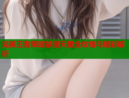 完美王者荣耀禁漫天堂全攻略与精彩解析  第1张